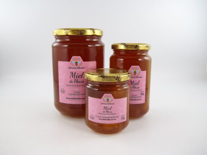 Miel de fleurs bio